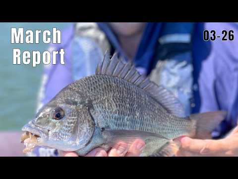 Инновации в робототехнике преобразуют промышленность Современный промышленный робот в действии